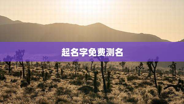 起名字免费测名