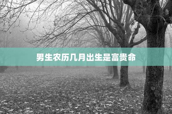 男生农历几月出生是富贵命