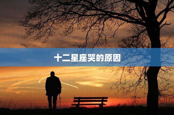 十二星座哭的原因