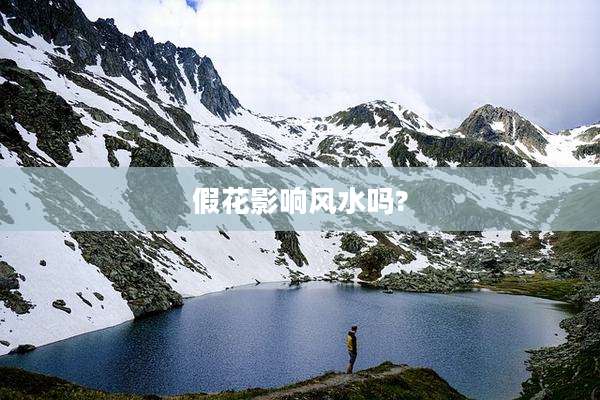 假花影响风水吗?