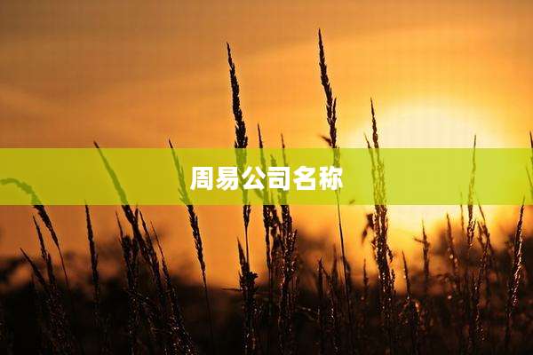 周易公司名称