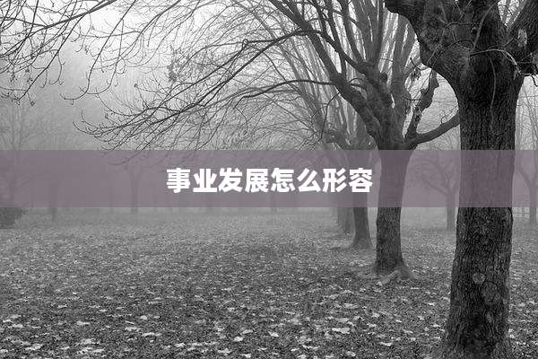 事业发展怎么形容