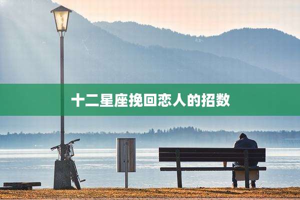 十二星座挽回恋人的招数