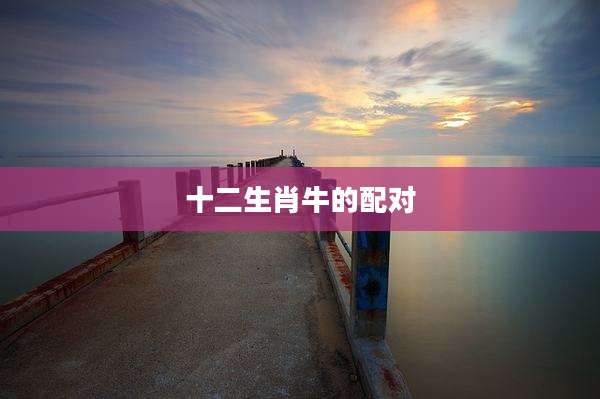 十二生肖牛的配对