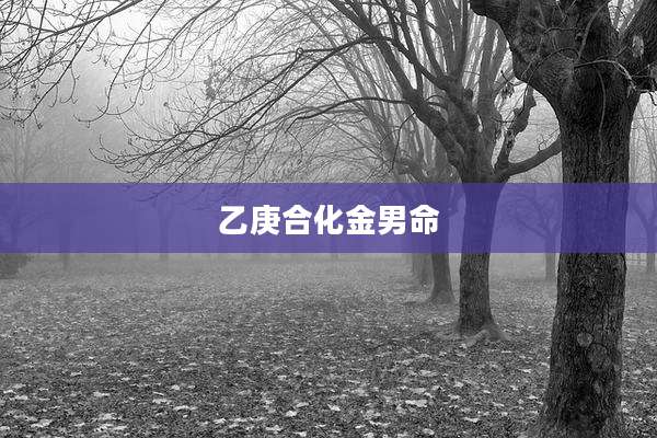 乙庚合化金男命