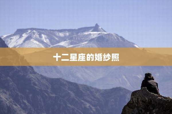 十二星座的婚纱照