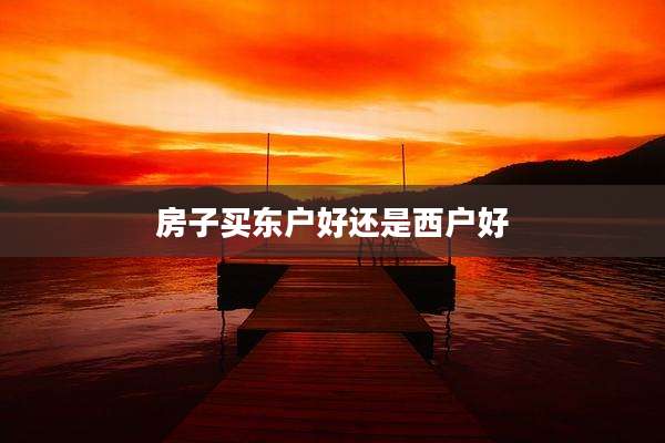 房子买东户好还是西户好
