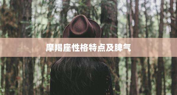 摩羯座性格特点及脾气