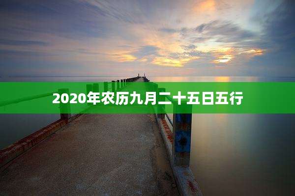 2020年农历九月二十五日五行