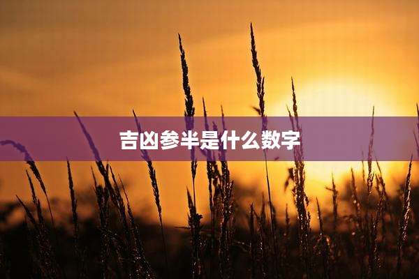 吉凶参半是什么数字