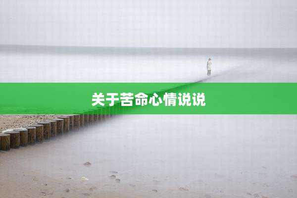 关于苦命心情说说