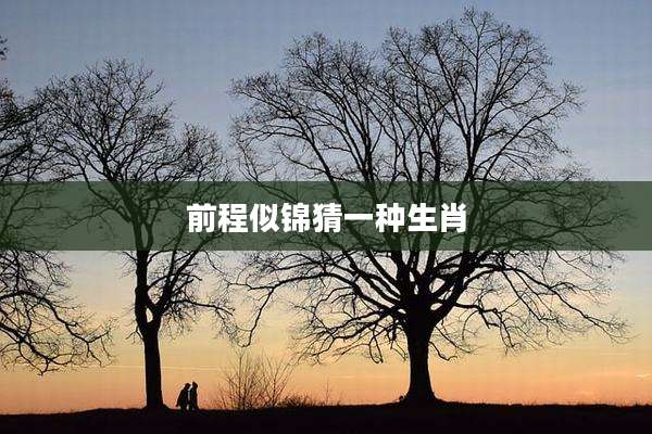 前程似锦猜一种生肖