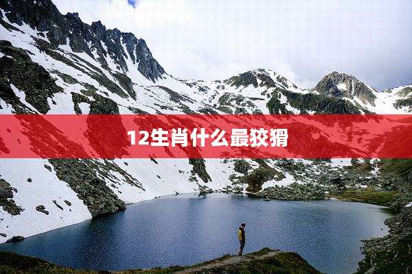 12生肖什么最狡猾