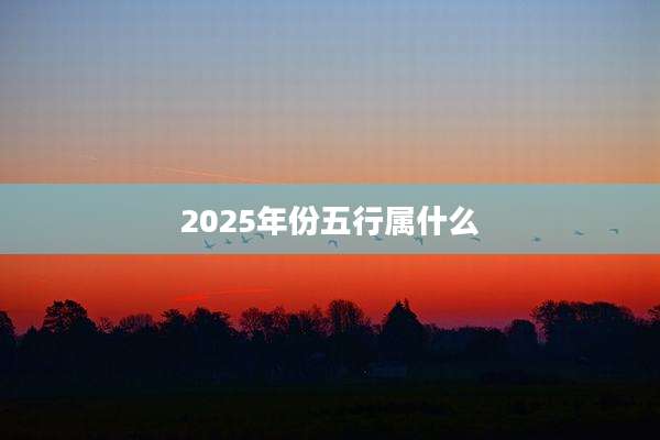 2025年份五行属什么
