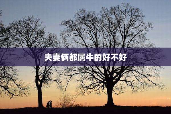 夫妻俩都属牛的好不好