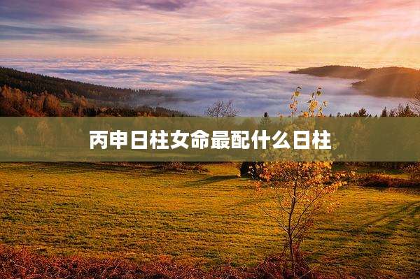 丙申日柱女命最配什么日柱