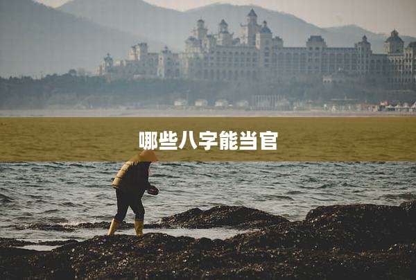 哪些八字能当官