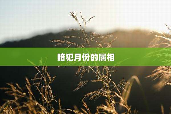 暗犯月份的属相