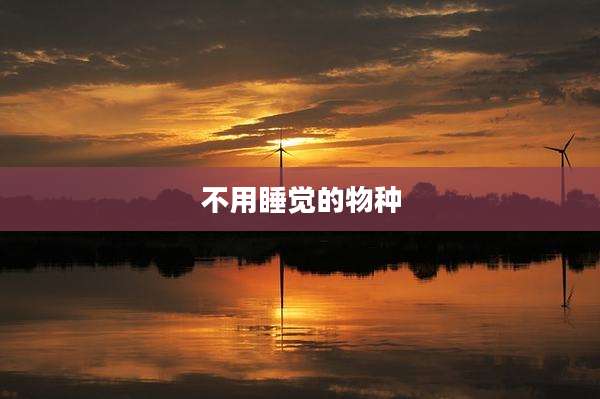 不用睡觉的物种