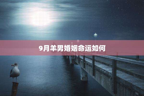 9月羊男婚姻命运如何