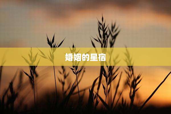 婚姻的星宿