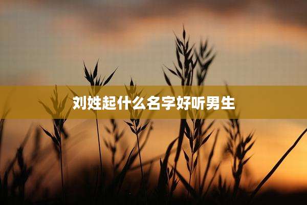 刘姓起什么名字好听男生