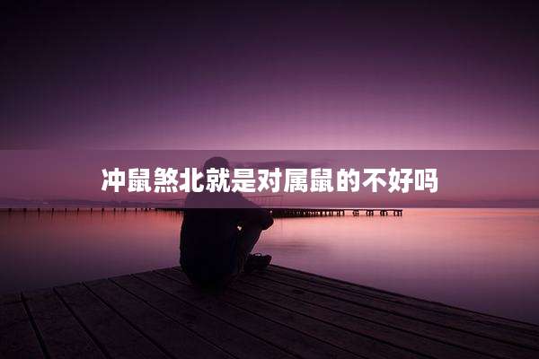 冲鼠煞北就是对属鼠的不好吗