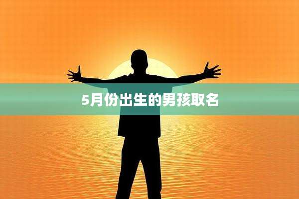 5月份出生的男孩取名