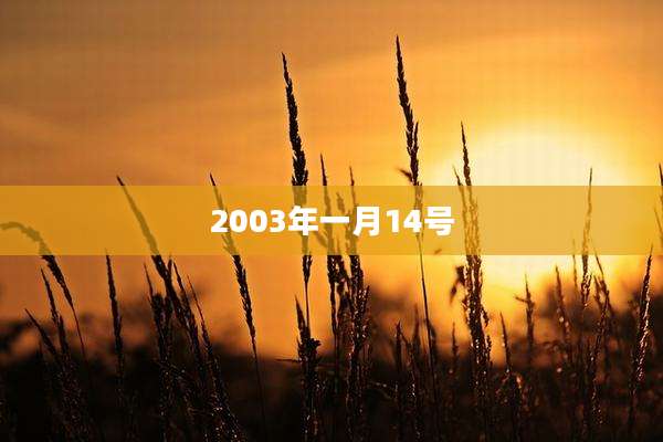 2003年一月14号