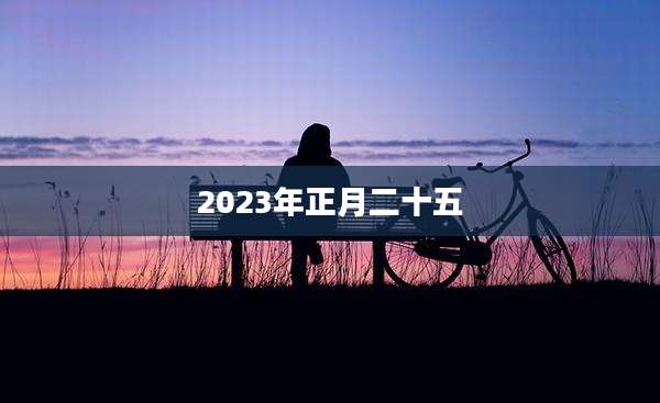 2023年正月二十五