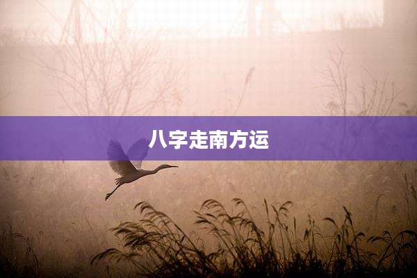 八字走南方运