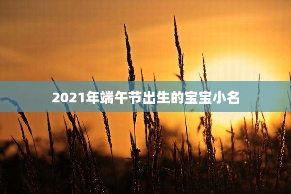 2021年端午节出生的宝宝小名