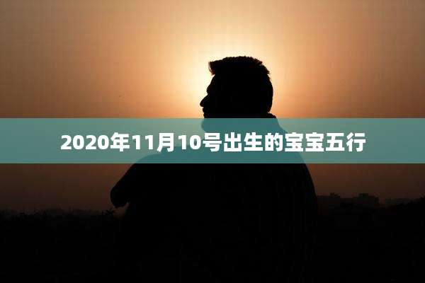 2020年11月10号出生的宝宝五行