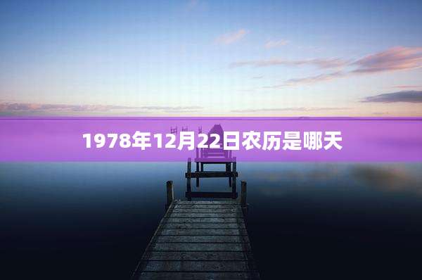 1978年12月22日农历是哪天