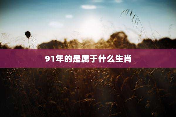 91年的是属于什么生肖