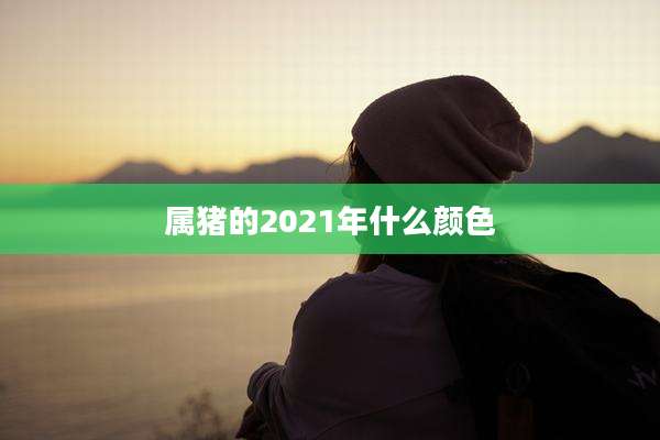 属猪的2021年什么颜色