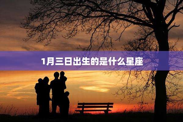1月三日出生的是什么星座