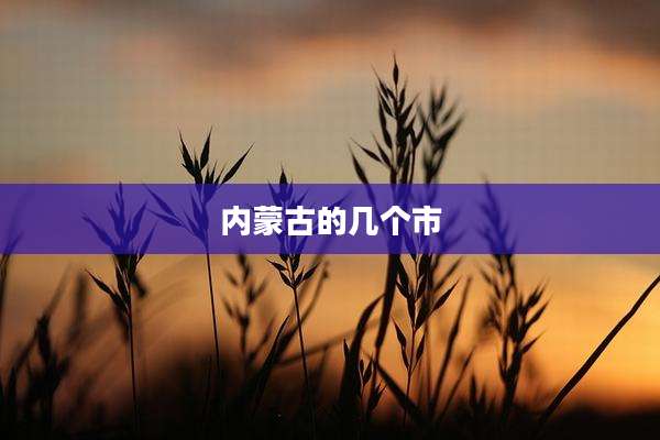 内蒙古的几个市