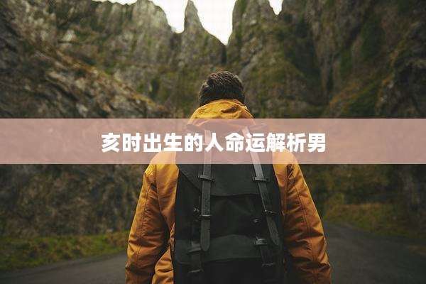 亥时出生的人命运解析男
