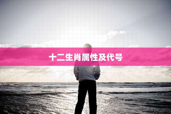 十二生肖属性及代号