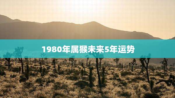 1980年属猴未来5年运势