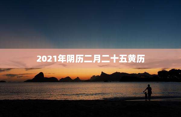 2021年阴历二月二十五黄历