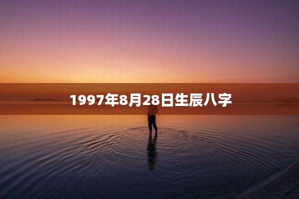 1997年8月28日生辰八字