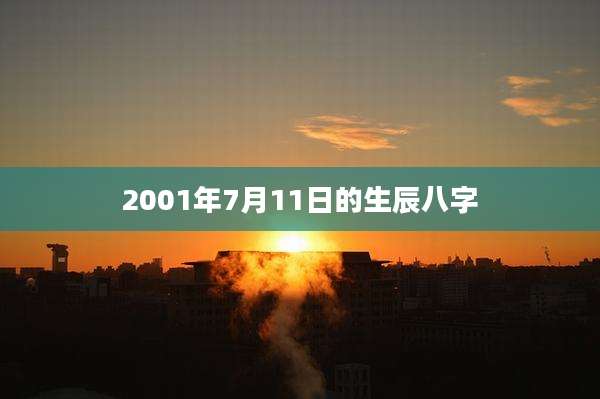 2001年7月11日的生辰八字