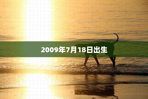 2009年7月18日出生