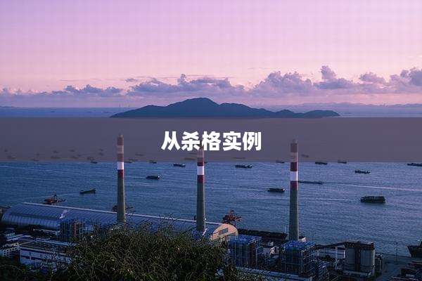 从杀格实例