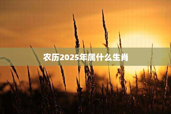农历2025年属什么生肖