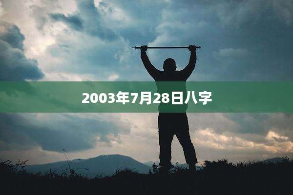 2003年7月28日八字