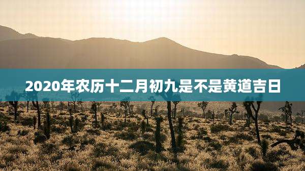 2020年农历十二月初九是不是黄道吉日