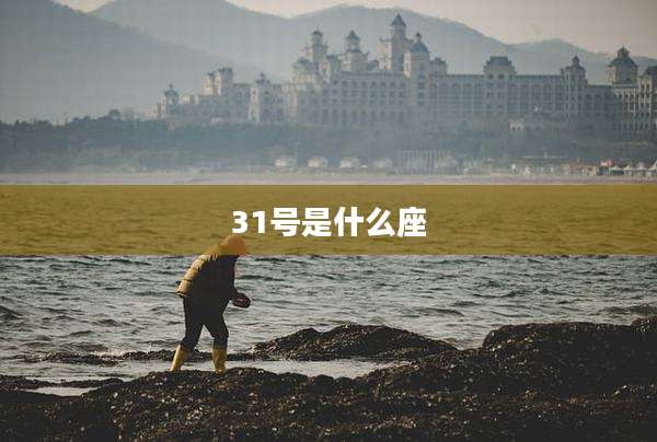 31号是什么座
